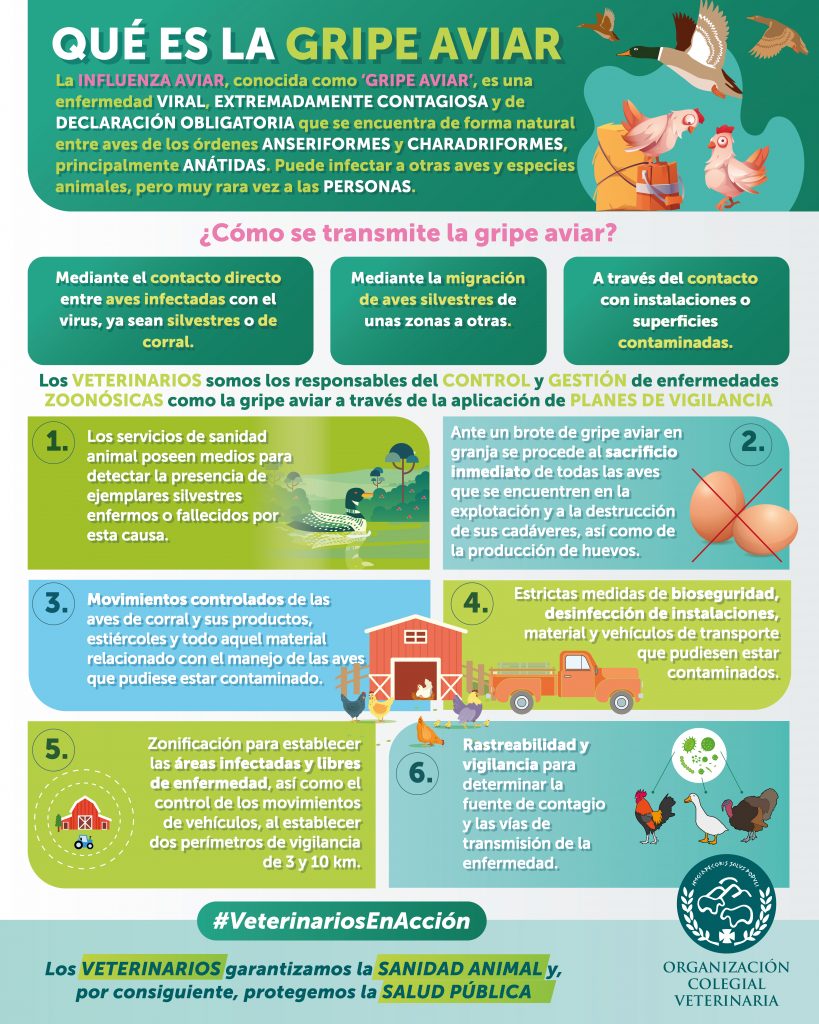 INFOGRAFIA: GRIPE AVIAR | Colegio Oficial de Veterinarios de La Rioja